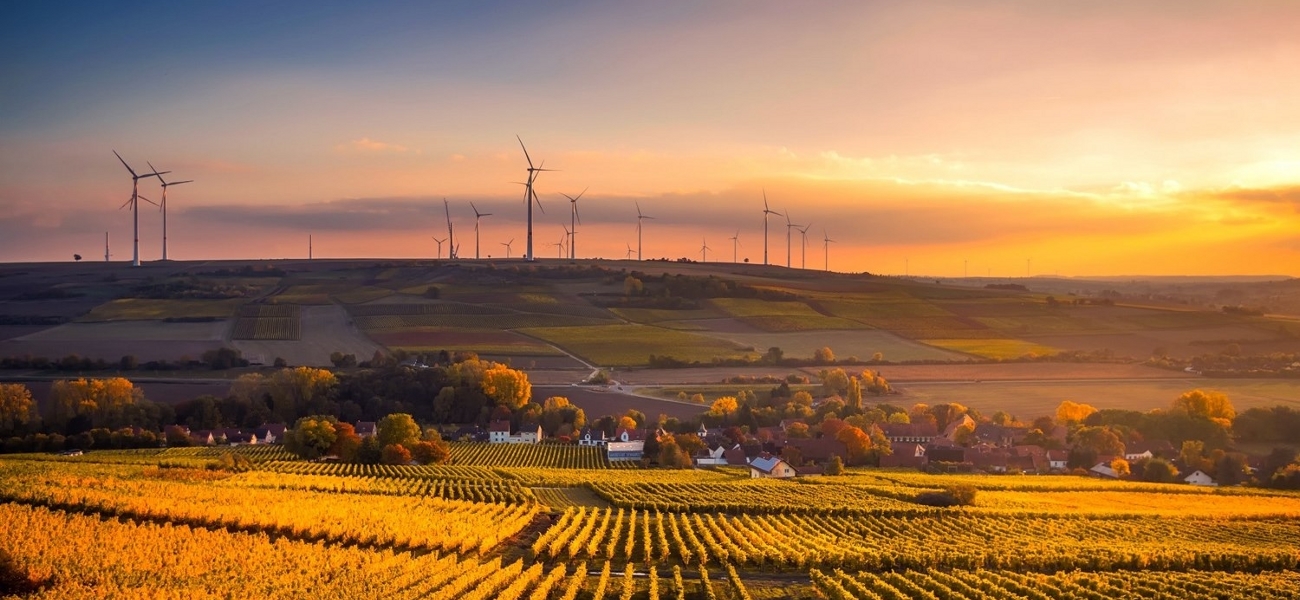 We help cities, communities and businesses on the path to be smarter and more sustainable